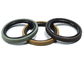 Corrosion Resistance PTFE Oil Glyd Seal Ring Gasket